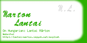 marton lantai business card